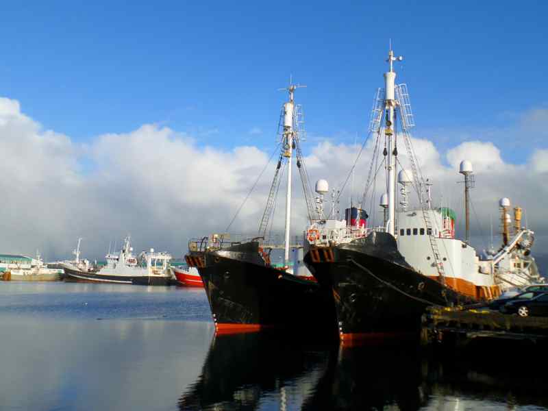 Vieux port de Reykjavik